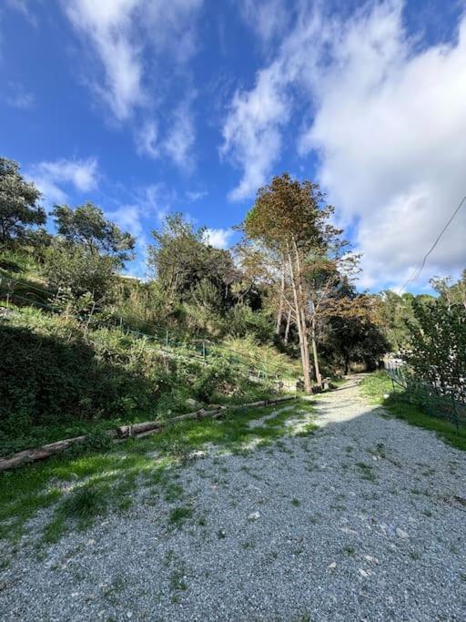 La Casetta Di Roby Con Giardino Privato Genova Esterno foto