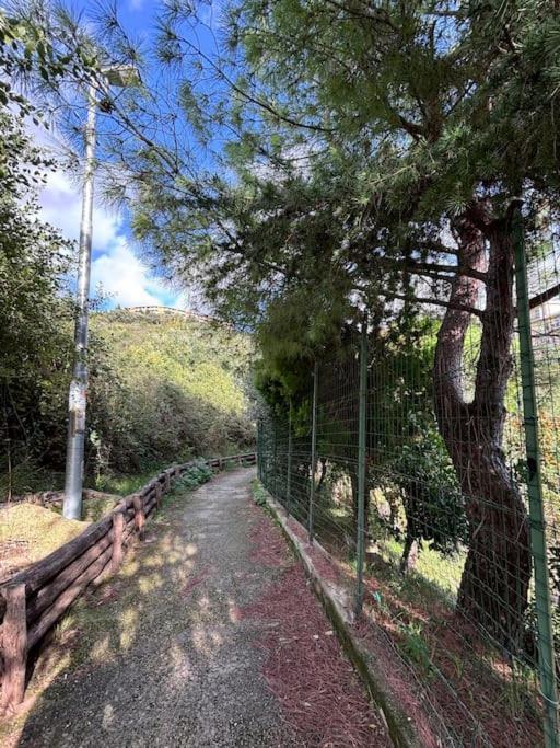La Casetta Di Roby Con Giardino Privato Genova Esterno foto